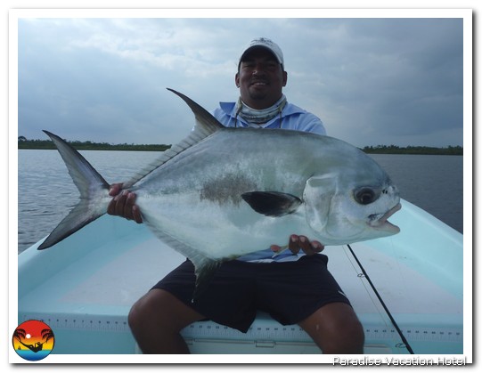 25 pound Permit caught by Dr. Yoshii fishing with Bruce Leslie. by Bruce Leslie